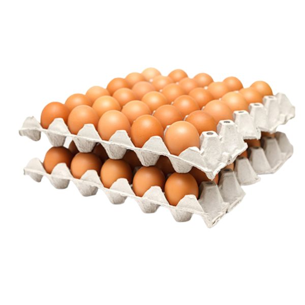 vỉ đựng trứng gà 30 quả bằng giấy