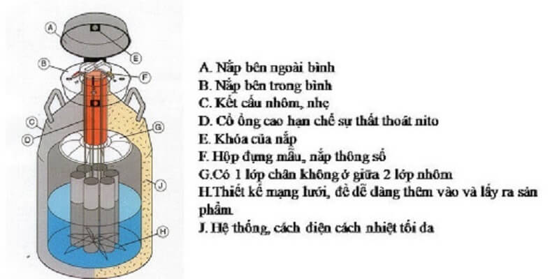 bình nito chứa tinh