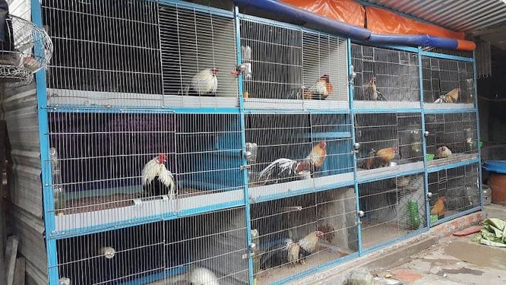 cách làm chuồng gà bằng lưới b40 dạng tầng