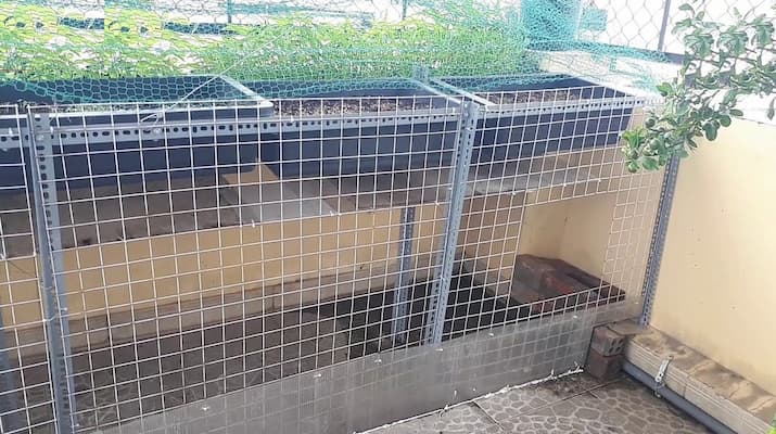 những lưu ý khi làm chuồng gà bằng lưới b40 cho gà
