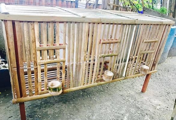 ưu nhược điểm của chuồng gà làm bằng tre đơn giản