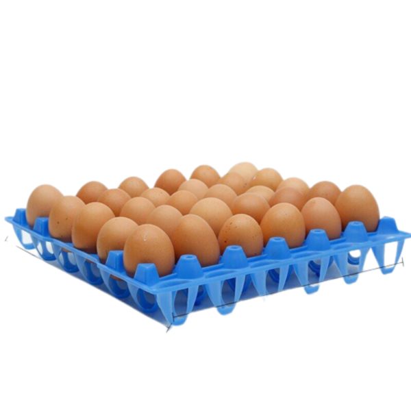vỉ đựng trứng gà 30 quả bằng nhựa